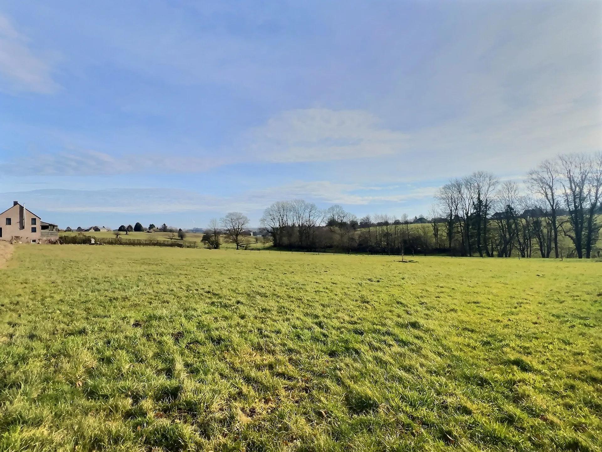 🏡 3 magnifiques terrains à bâtir – Forges (Chimay) – 10 ares chacun 🌿📐 — photo 2