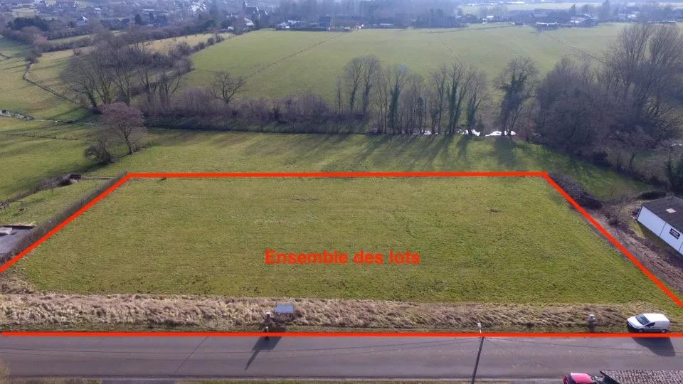 🏡 3 magnifiques terrains à bâtir – Forges (Chimay) – 10 ares chacun 🌿📐 — photo 3