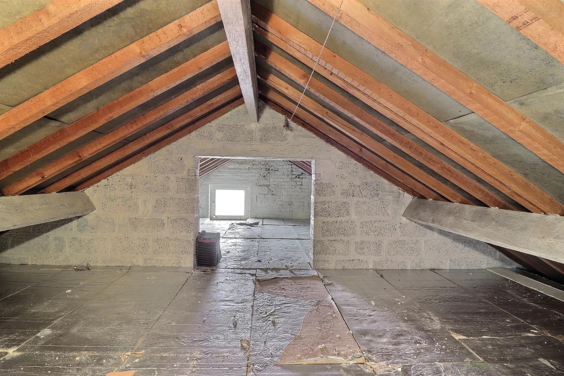 Mooie villa met 3 slaapkamers, twee garages en tuin — foto 12