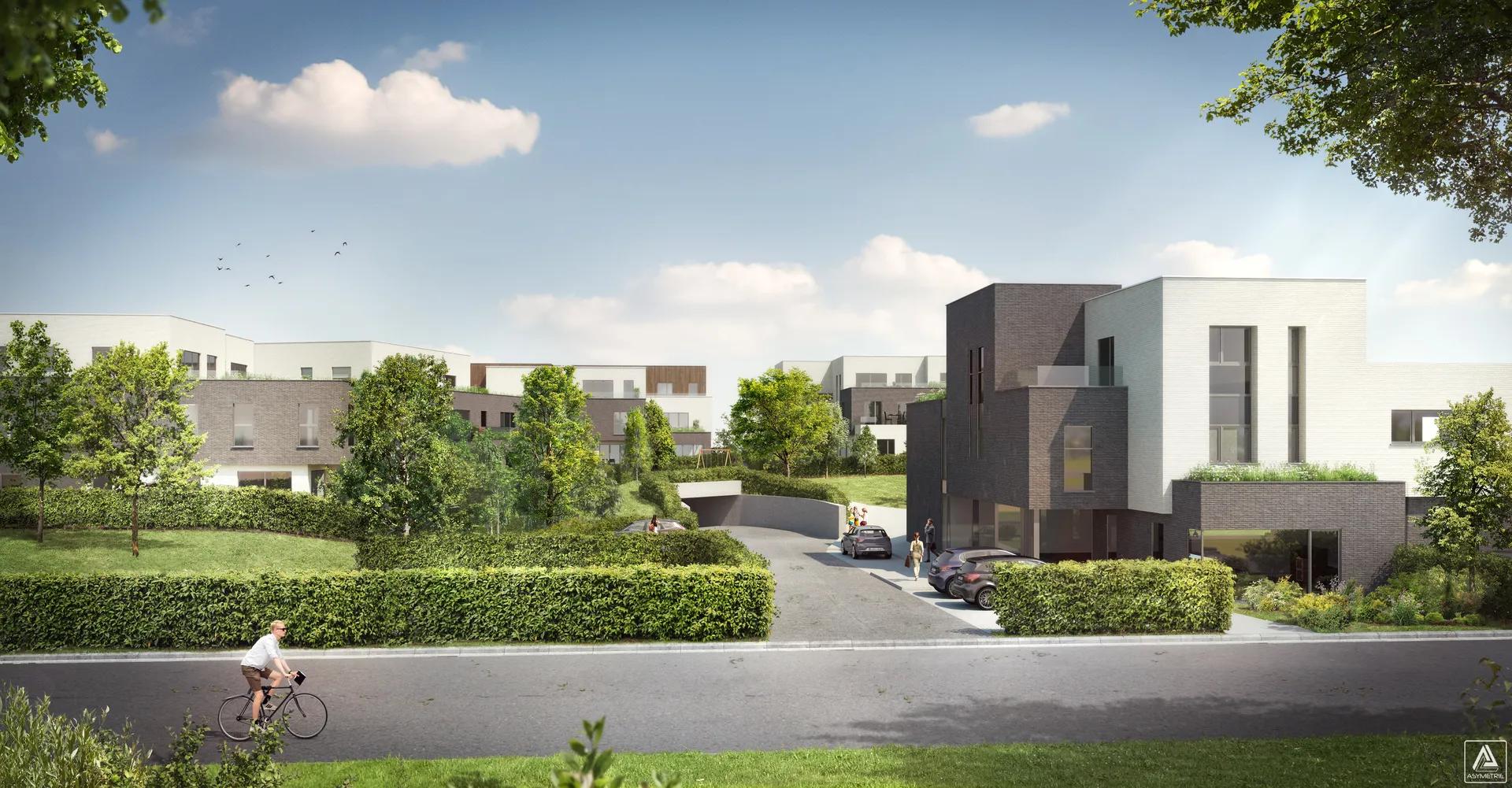 Magnifique complexe de maisons et d’appartements neufs — photo 3