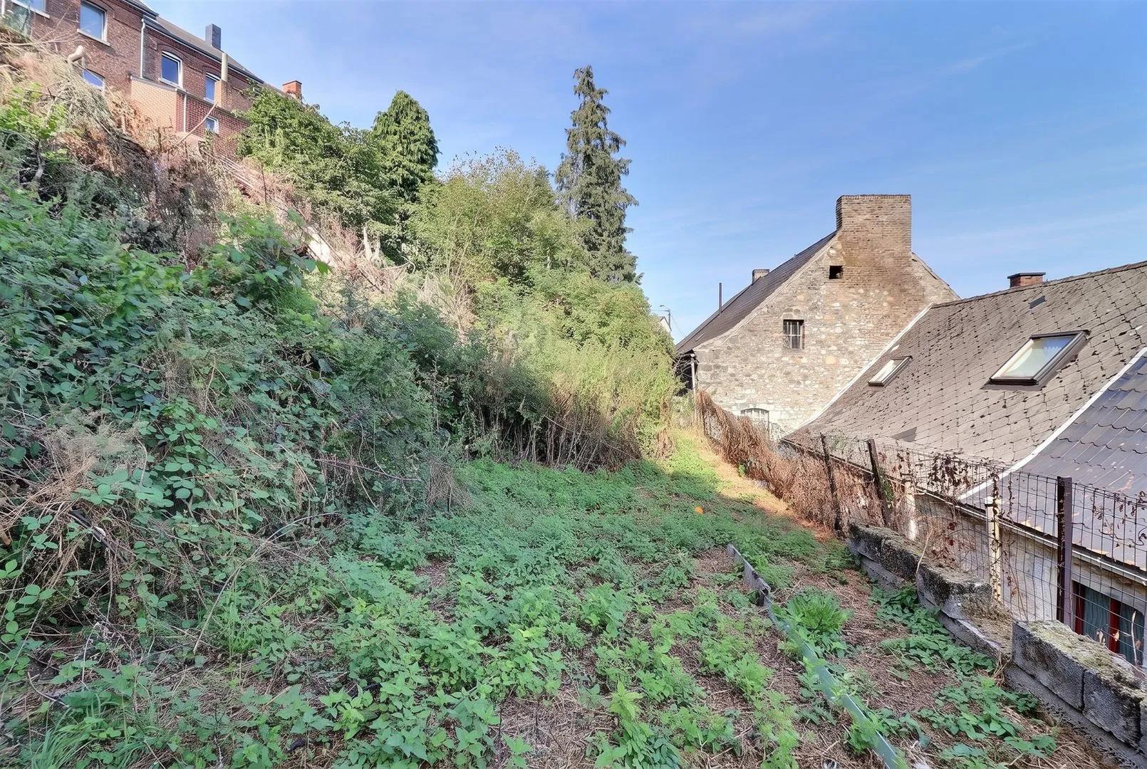 Thy-le-Chateau : Maison de caractère en pierre à rénover — photo 10
